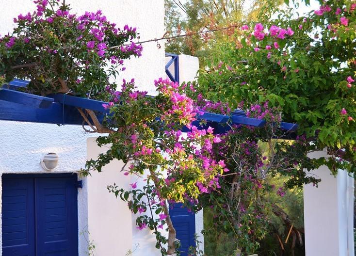 Syros Inn غاليساس المظهر الخارجي الصورة